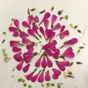 Meet your Posher, Joe